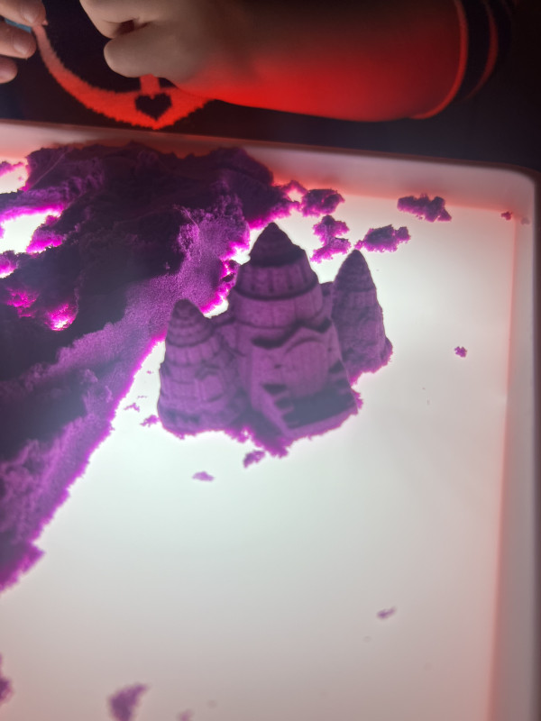 Sinneswahrnehmung Sinneswahrnehmung